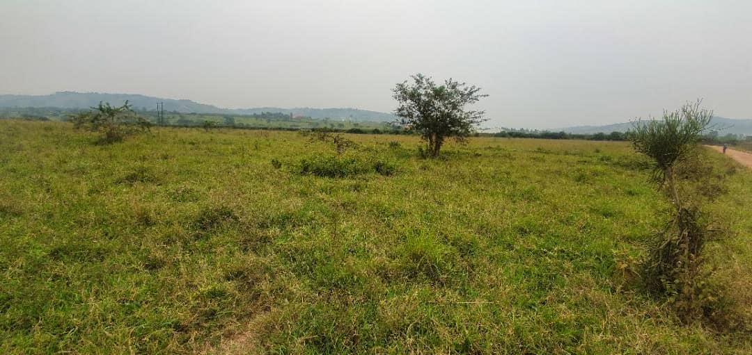 WhatsApp Image 2021-04-19 at 7.26.30 PM 1.jpeg